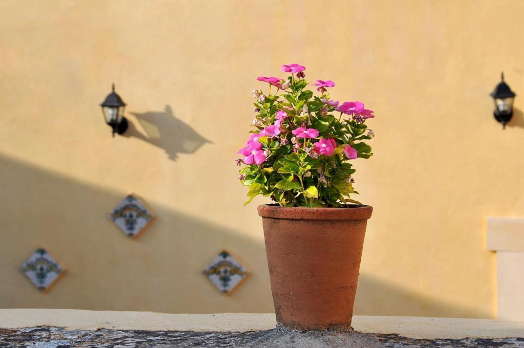 Il Giardino Del Barocco Noto